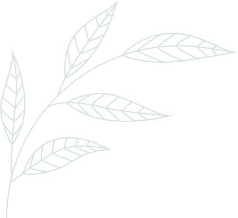 Pricing Leaf Image