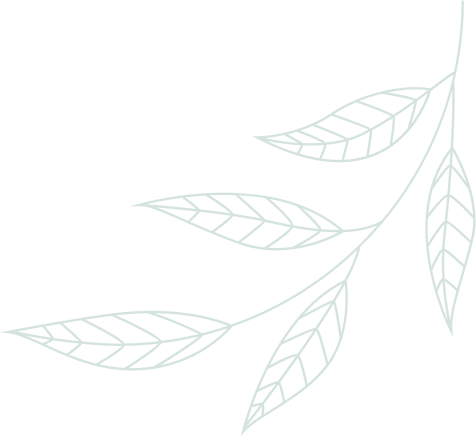 Pricing Leaf Image